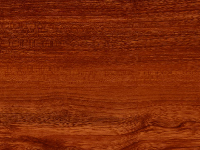 Sportovní podlaha COMPLEX